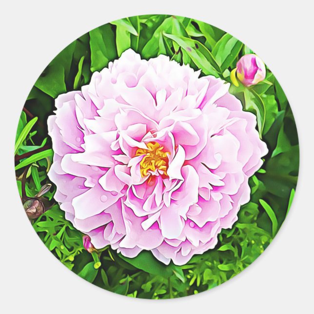 Adesivo Pink Peonie Floral (Frente)