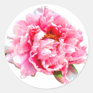 ADESIVO PINK PEONY