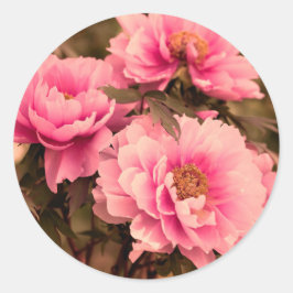 Adesivo Pink Peony Flower