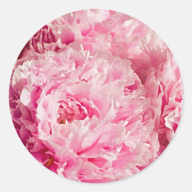 Adesivo Pink Peony Stickers (Frente)