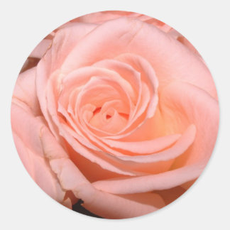 Adesivo Pink Rose Sticker