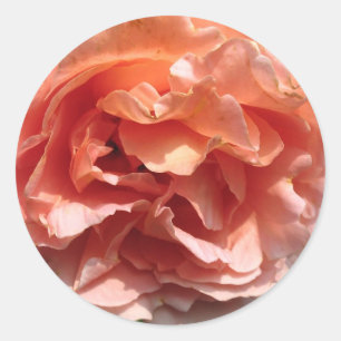 Adesivo Pink Rose Sticker