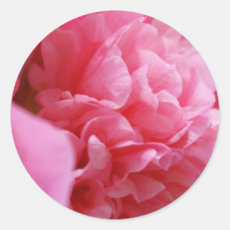 Adesivo Pinkalicious