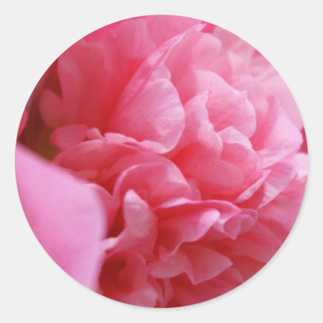 Adesivo Pinkalicious (Frente)