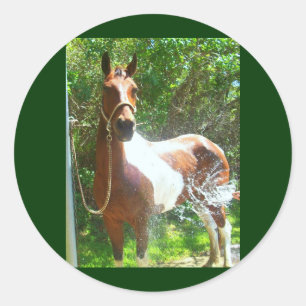 Adesivo Pinte o banho