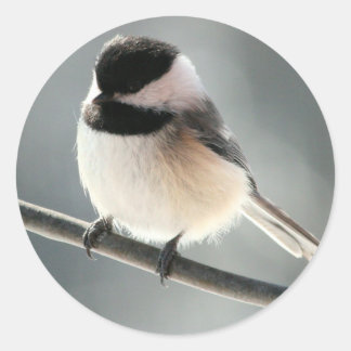 Adesivo Pintinhos doces