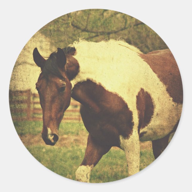 Adesivo Pinto (Frente)