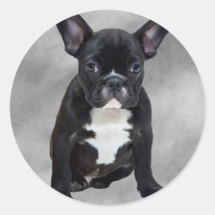 Adesivo Pintura a Óleo Aquarela de Bulldog Francês Sentado