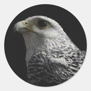 Adesivo Pintura ártica do retrato de Gyrfalcon