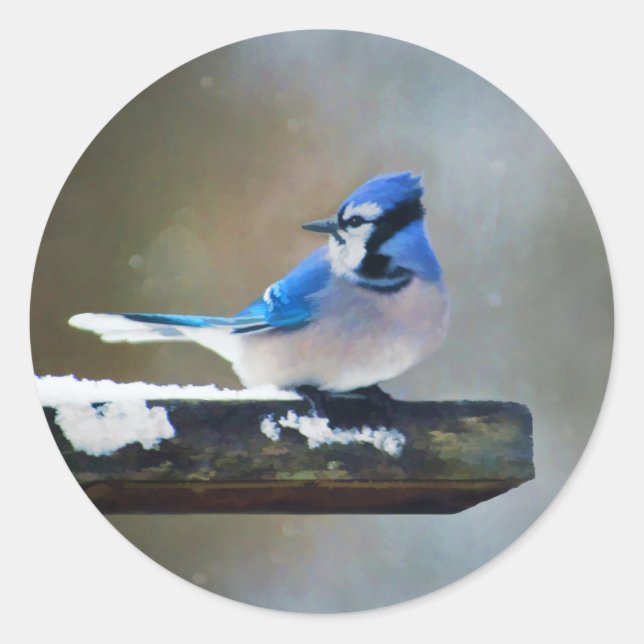 Adesivo Pintura Blue Jay - Arte Original para Pássaros (Frente)
