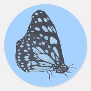 Adesivo Pintura Borboleta Preta Manchas Azuis