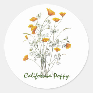 Adesivo Pintura de Aquarela Verde Amarela California Poppy