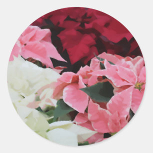 Adesivo Pintura de flores de Poinsettia, de inverno, de co