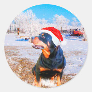 Adesivo Pintura de Natal do Cão Rottweiler