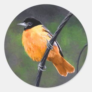 Adesivo Pintura de Oriole - Arte de Pássaro Original