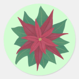 Adesivo Pintura de uma Flor de Natal Poinsettia
