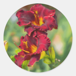 Adesivo Pintura digital de flores amarelas e vermelhas