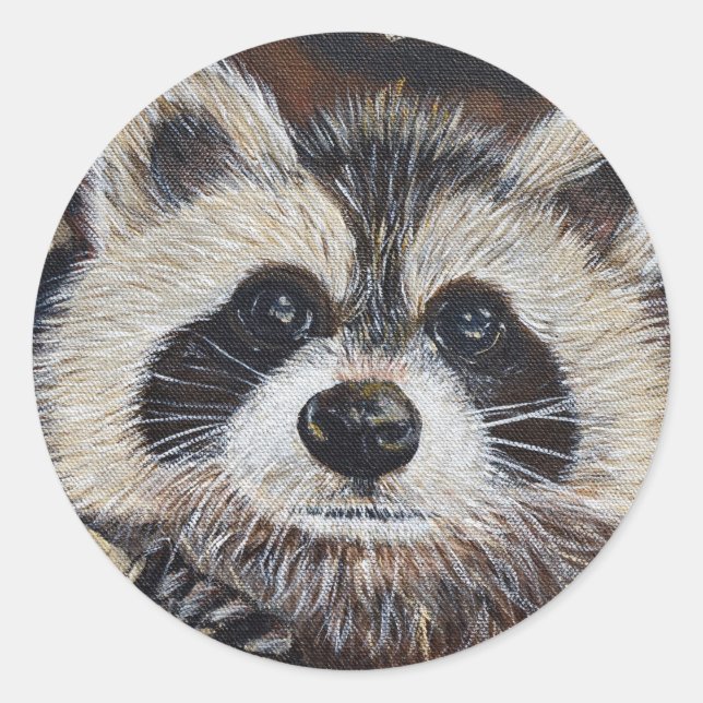 Adesivo Pintura do Raccoon (Frente)