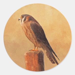 Adesivo Pintura em Kestrel Americano - Arte original sobre