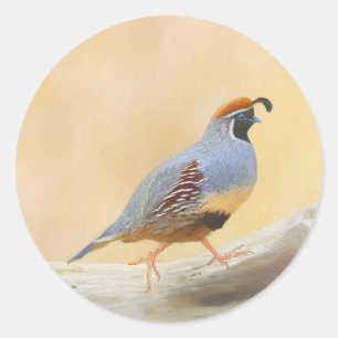Adesivo Pintura em Quail de Gambrel — Arte original sobr