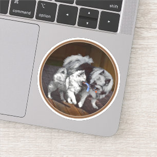 Adesivo Pintura em tempo de reprodução de Keeshond - Arte 
