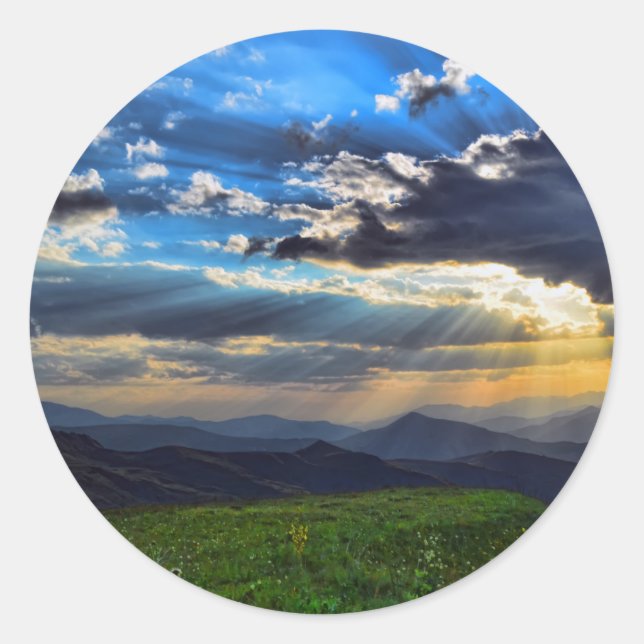 Adesivo Pintura Estética Em Vinhetas (Frente)