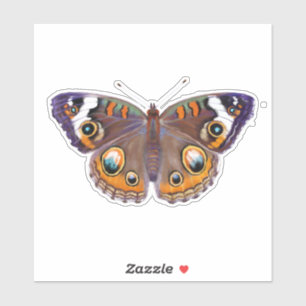 Adesivo Pintura realista da borboleta de Buckeye