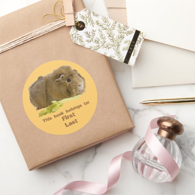 Adesivo Pinus Adorável Comendo Fotografia Aipo (Presentear)