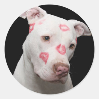 Adesivo Pitbull Lover