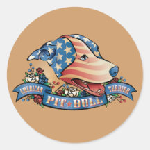 Pitbull Terrier americano