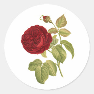 Adesivo PixDezine rosas vermelhas vintage vitorianas redou