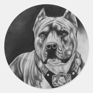 ADESIVO PKG DE 20 PITBULL STICKER ROUND