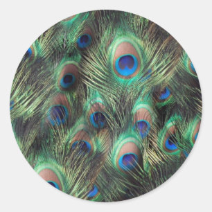 Adesivo Plano de fundo da pena de pico