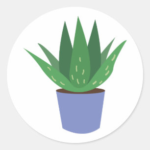 Adesivo Planta do aloés
