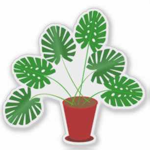 Adesivo Planta Monstera do Dia das Mães
