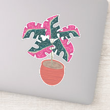 Planta Monstera Rosa Desenhada à Mão