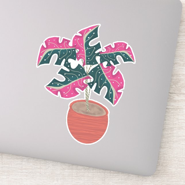Adesivo Planta Monstera Rosa Desenhada à Mão (Detalhe)