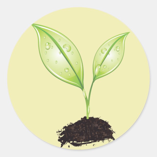 Adesivo Planta ~ Planta Terra Verde Folha e Sementes Raiz (Frente)