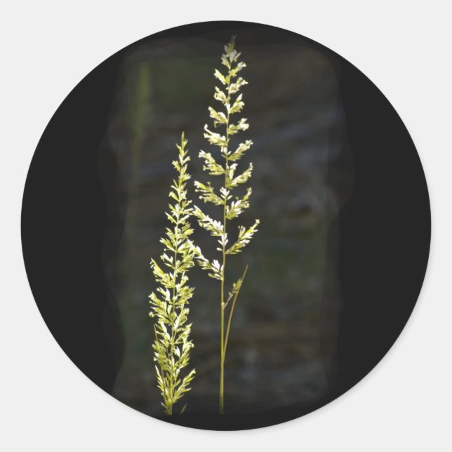 Adesivo Planta Verde (Frente)