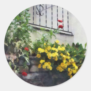 Adesivo Plantador Com Cactus De Flor Amarelo