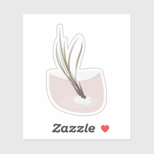 Adesivo Plantas Aéreas Botânicas Tillandsia Terrário