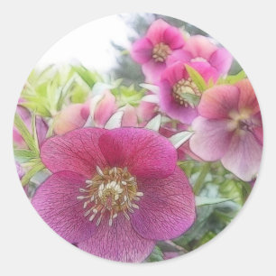 Adesivo Plantas constantes - Hellebore roxo
