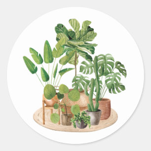 Adesivo Plantas de Casa Aquarela