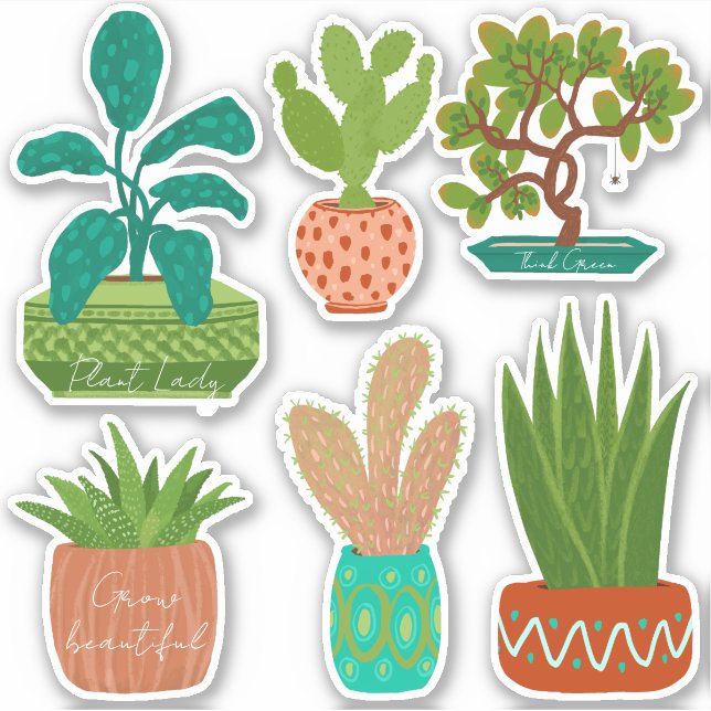 Adesivo Plantas domésticas de cactus Stickers (Frente)