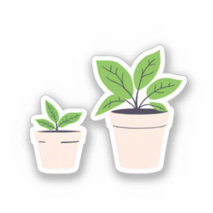 Adesivo Plantas em Vasos