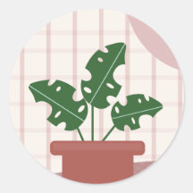 Plantas Monstera Fofas Moldura Desenho Boêmio
