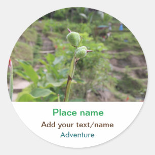 Adesivo Plantas naturais fotografia água de praia viagem