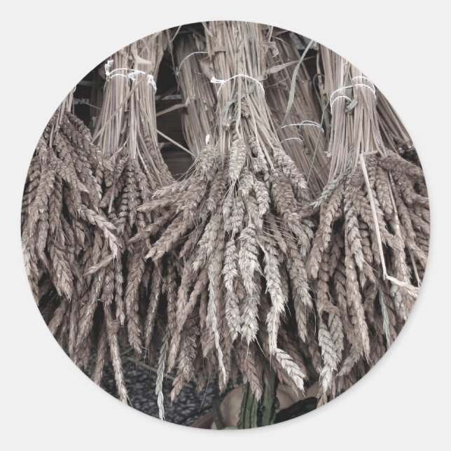 Adesivo Plantas Secas para Decoração (Frente)