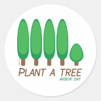 Plante uma árvore - dia de chegada