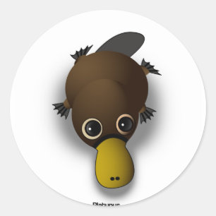 Adesivo platypus